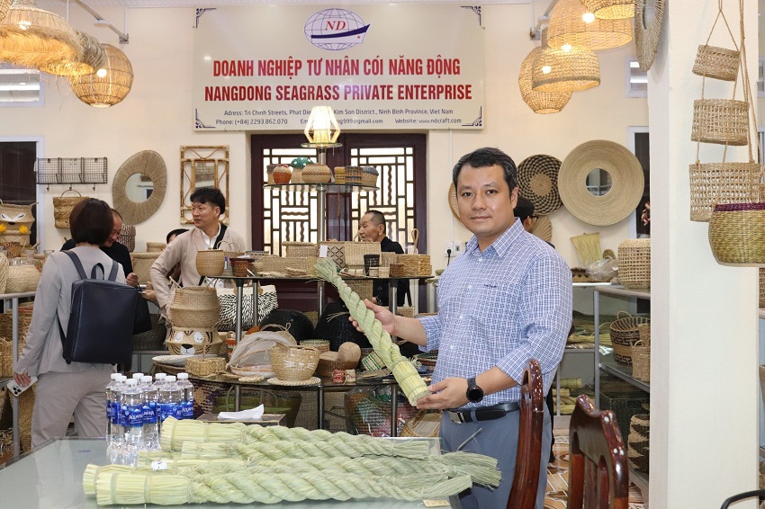 Quỹ Đầu tư phát triển tỉnh Ninh Bình kết nối thương mại, đầu tư giữa các doanh nghiệp Nhật Bản với doanh nghiệp sản xuất cói Kim Sơn Ninh Bình