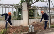 Quỹ Đầu tư phát triển Ninh Bình phát động chương trình tết trồng cây đời đời nhớ ơn Bác Hồ - xuân Tân Sửu 2021